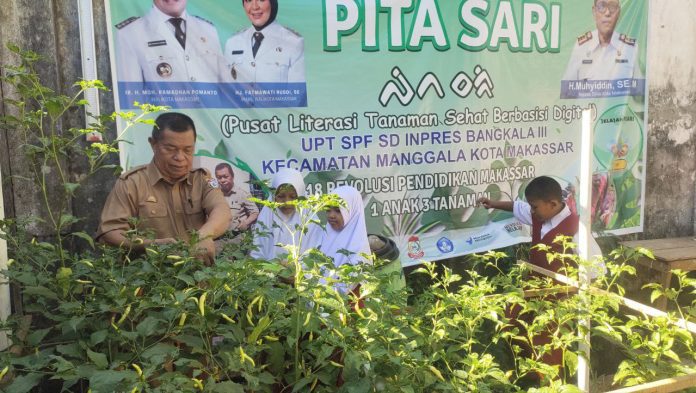 SDN Bangkala III Makassar Berkibar dengan Panen Cabai di PITA SARI