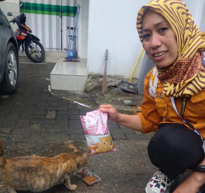 Makassar Pawrent Community, Kucing, Pasar Toddopuli, Street Feeding, Kesejahteraan Hewan, Pecinta Kucing,