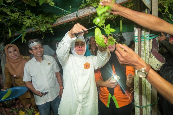 Ketua TP PKK Kota Makassar, Indira Yusuf Ismail, melakukan panen pare di Lorong Wisata Mildura, Kelurahan Sinrijala, pada 19 Agustus 2024.