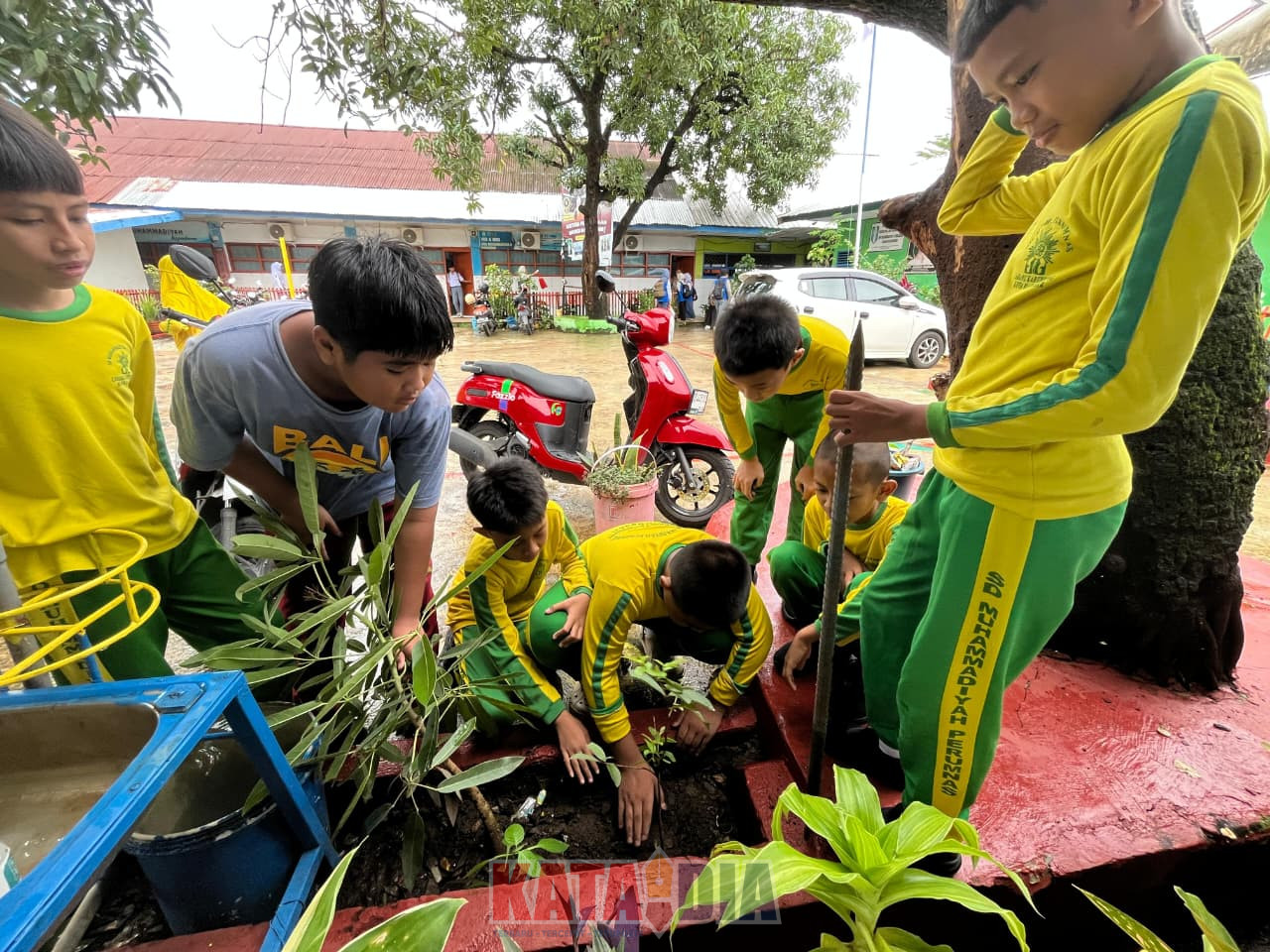 Dalam rangka memperingati Hari Gerakan Sejuta Pohon, SD Muhammadiyah Perumnas menggelar kegiatan penanaman pohon yang melibatkan seluruh siswa dan tenaga pendidik
