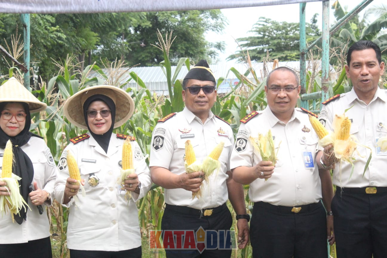 Lembaga Pemasyarakatan (Lapas) Narkotika Kelas IIA Sungguminasa turut berpartisipasi dalam Kegiatan Panen Raya Serentak Pemasyarakatan