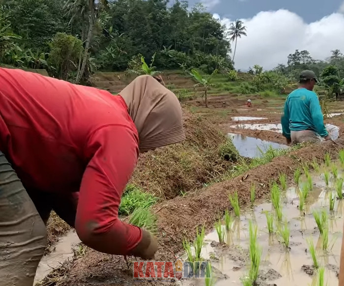 Pemerintah Kabupaten Maros melalui Dinas Pertanian Kabupaten Maros menyiapkan sejumlah langkah mitigasi untuk mengantisipasi potensi kekeringan