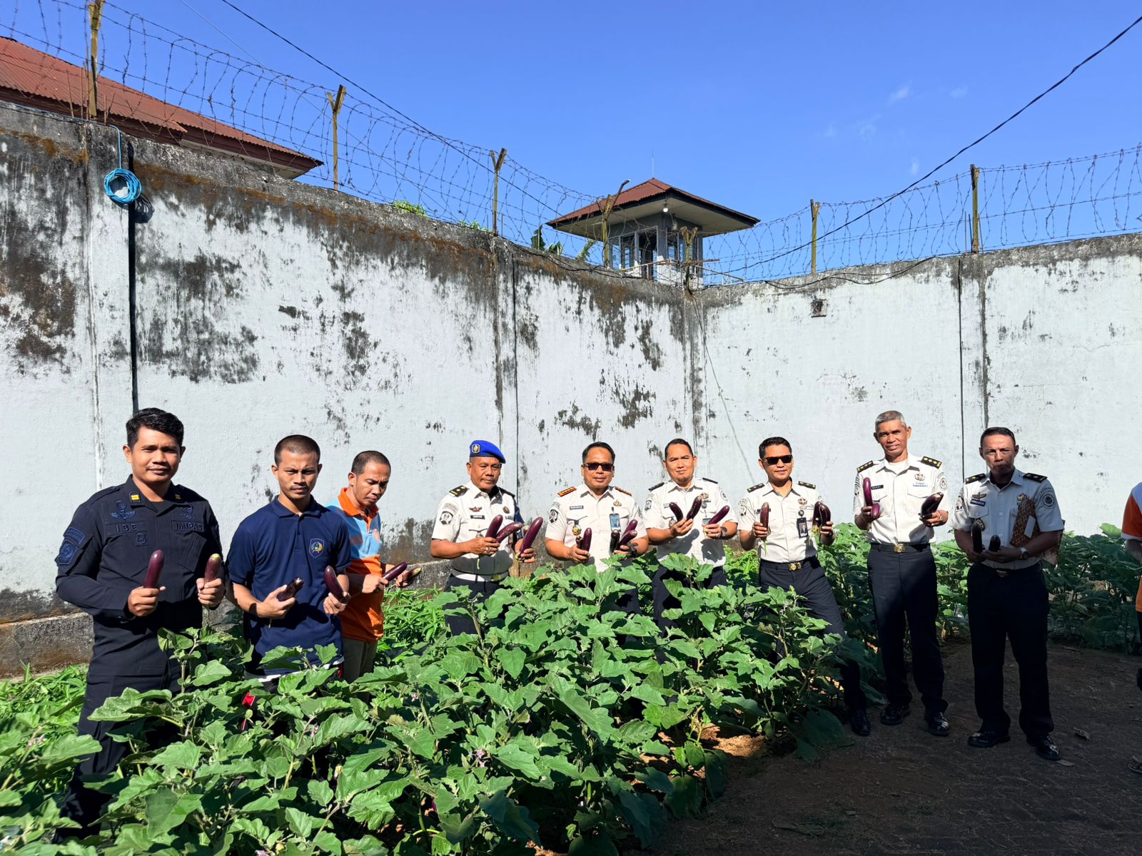 Kepala Lembaga Pemasyarakatan (Lapas) Narkotika Kelas IIA Sungguminasa, Gunawan, turun langsung memanen terong hasil program pembinaan kemandirian warga binaan di area ketahanan pangan lapas