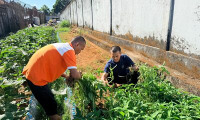 Lembaga Pemasyarakatan (Lapas) Narkotika Kelas IIA Sungguminasa kembali menunjukkan komitmennya dalam membina kemandirian warga binaan