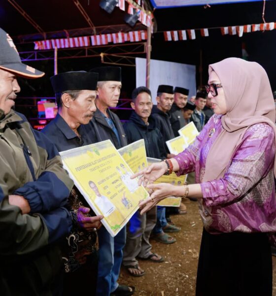 Produktivitas pertanian di Desa Gattareng, Kecamatan Pujananting, Kabupaten Barru,