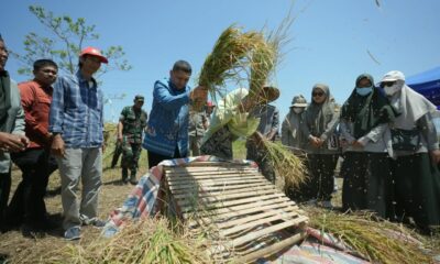 Pemerintah Kota Makassar terus memperkuat sektor pertanian di tengah keterbatasan lahan dan ancaman perubahan iklim yang semakin nyata.