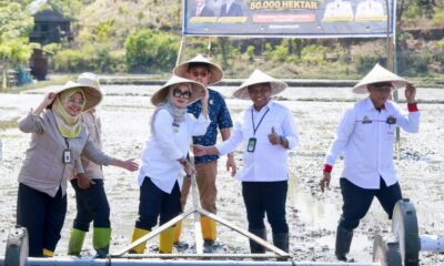 Kabupaten Barru menjadi lokasi Gerakan Tanam Serempak Nasional di Sulawesi Selatan. Pemkab Barru mendorong pertanian modern untuk meningkatkan produktivitas dan kesejahteraan petani.