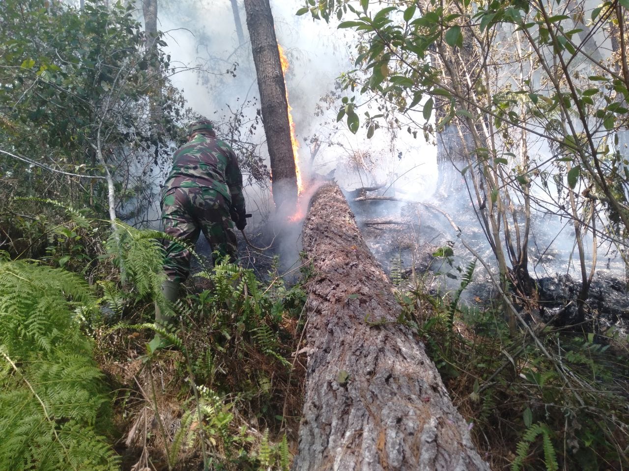 Personel Babinsa Kodim 1409/Gowa bersama masyarakat bergerak cepat mengatasi Kebakaran Hutan dan Lahan (Karhutla)