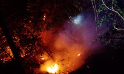 ebakaran hutan dan lahan (karhutla) melanda kawasan pohon pinus dan semak belukar di dua lokasi berbeda di Kecamatan Tinggimoncong,