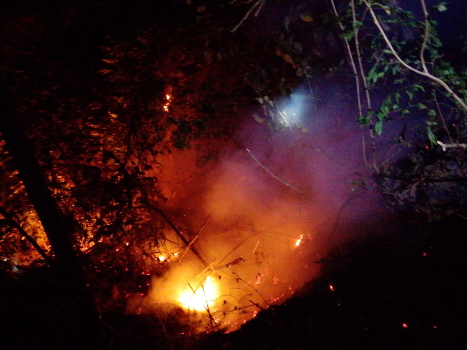 ebakaran hutan dan lahan (karhutla) melanda kawasan pohon pinus dan semak belukar di dua lokasi berbeda di Kecamatan Tinggimoncong,