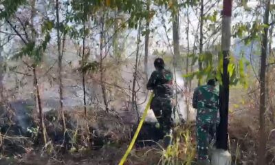 Kebakaran lahan melanda area rumput kering dan semak belukar di Dusun Moncongloe, Desa Paccellekang,