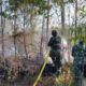 Kebakaran lahan melanda area rumput kering dan semak belukar di Dusun Moncongloe, Desa Paccellekang,
