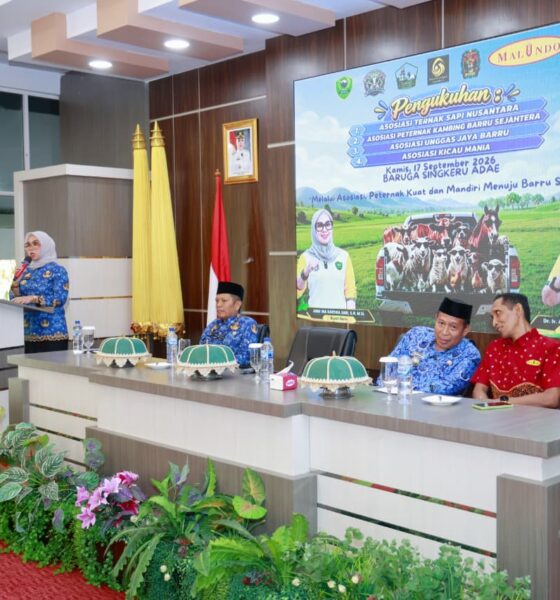 Bupati Barru Andi Ina Kartika Sari mengukuhkan empat asosiasi peternakan dalam Bulan Bakti Hari Peternakan dan Kesehatan Hewan Nasional ke-190 Tahun 2026.
