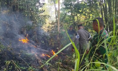 Kobaran api kembali mengancam lahan warga di Kabupaten Gowa. Kebakaran Hutan dan Lahan (Karhutla)