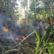 Kobaran api kembali mengancam lahan warga di Kabupaten Gowa. Kebakaran Hutan dan Lahan (Karhutla)