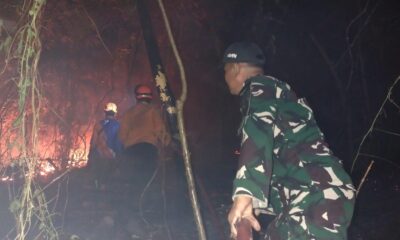 Kobaran api melanda lahan seluas kurang lebih 5 hektare di Dusun Tamalayi, Desa Pallantikang, Kecamatan Pattallassang, Kabupaten Gowa, Selasa malam
