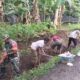 Semangat gotong royong dan kepedulian terhadap kebersihan lingkungan ditunjukkan jajaran TNI, Polri, dan masyarakat