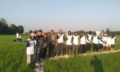Babinsa Desa Bone, Koramil 1409-06/Bajeng, Serma Samsuddin N
