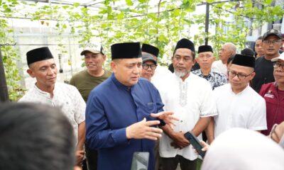 Wali Kota Makassar, Munafri Arifuddin alias Appi, menghadiri langsung kegiatan panen melon