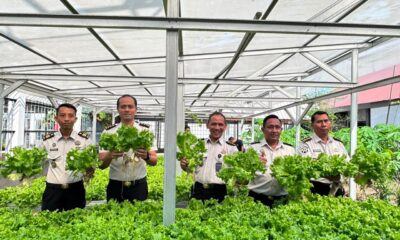 Kepala Lapas Kelas I Makassar Gumilar Budirahayu mendorong pembinaan kemandirian warga binaan melalui panen 65 kg selada untuk mendukung ketahanan pangan.
