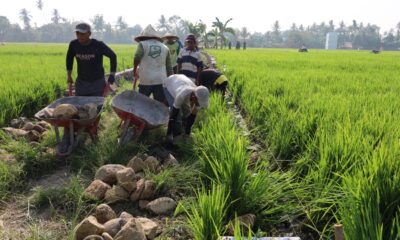 Pembangunan talud TMMD ke-130 Kodim 1409/Gowa di Desa Kalebarembeng mencapai progres 18 persen. Letkol Arm Sapari optimistis pembangunan rampung tepat waktu untuk memperkuat akses jalan desa.