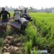 Pembangunan talud TMMD ke-130 Kodim 1409/Gowa di Desa Kalebarembeng mencapai progres 18 persen. Letkol Arm Sapari optimistis pembangunan rampung tepat waktu untuk memperkuat akses jalan desa.