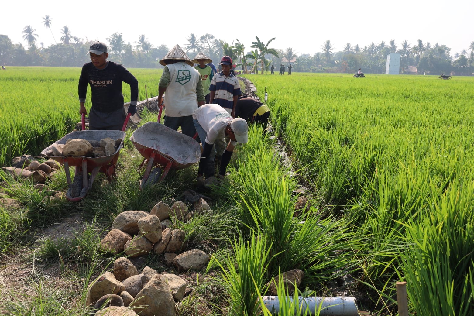 Pembangunan talud TMMD ke-130 Kodim 1409/Gowa di Desa Kalebarembeng mencapai progres 18 persen. Letkol Arm Sapari optimistis pembangunan rampung tepat waktu untuk memperkuat akses jalan desa.