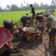 Pembangunan talud TMMD ke-130 Kodim 1409/Gowa di Desa Kalebarembeng, Gowa, ditargetkan mencapai progres 18 persen. Dansatgas Letkol Arm Sapari menekankan keselamatan kerja dan gotong royong.