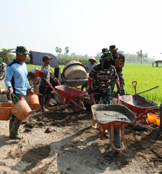 Satgas TMMD ke-130 Kodim 1409/Gowa terus menggenjot pembangunan jalan tani di Desa Kalebarembeng, Gowa. Progres pengerjaan mencapai 34 persen untuk memperlancar akses petani dan distribusi hasil panen.