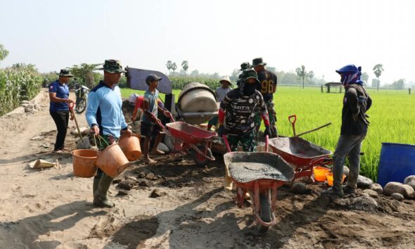 Satgas TMMD ke-130 Kodim 1409/Gowa terus menggenjot pembangunan jalan tani di Desa Kalebarembeng, Gowa. Progres pengerjaan mencapai 34 persen untuk memperlancar akses petani dan distribusi hasil panen.