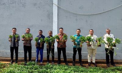 Lapas Narkotika Sungguminasa memanen 50 kilogram kangkung hasil pembinaan warga binaan untuk memenuhi kebutuhan dapur lapas sekaligus mendukung program ketahanan pangan.