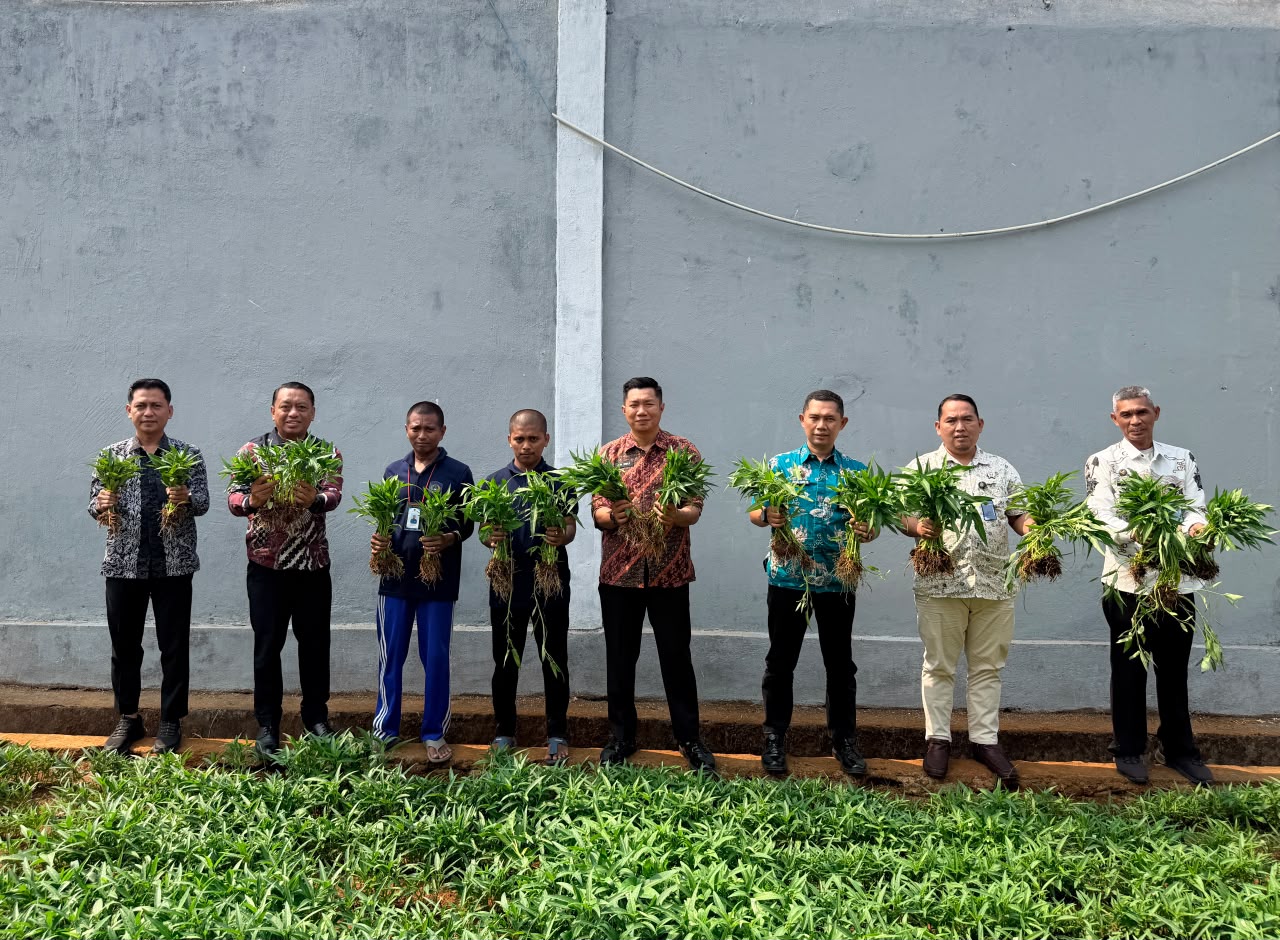 Lapas Narkotika Sungguminasa memanen 50 kilogram kangkung hasil pembinaan warga binaan untuk memenuhi kebutuhan dapur lapas sekaligus mendukung program ketahanan pangan.