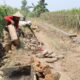 Satgas TMMD ke-130 Kodim 1409/Gowa memperkuat infrastruktur desa melalui pembangunan talud di Kalebarembeng untuk mengantisipasi erosi dan longsor saat musim hujan.