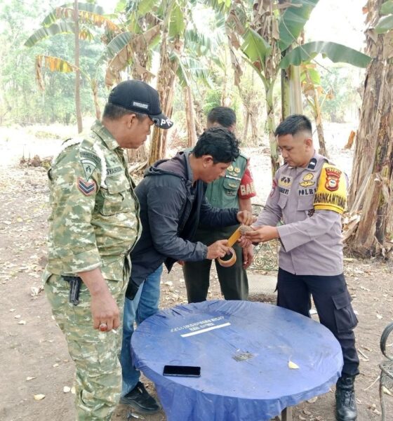 Warga menemukan granat tangan jenis nanas di Desa Pannyangkalang, Bajeng, Gowa, saat mencari ikan. Granat diduga masih aktif dan diamankan petugas.