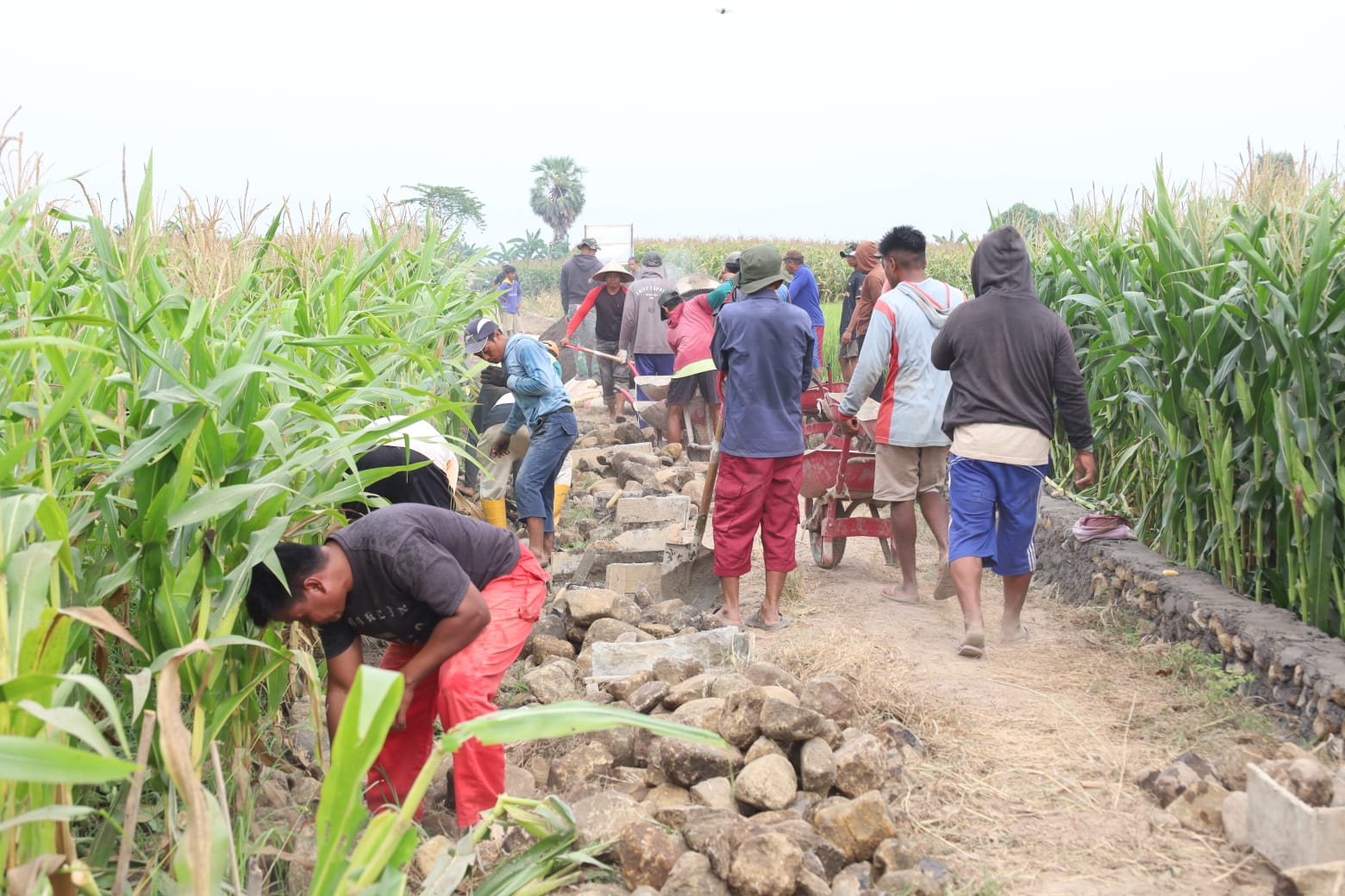 Pembangunan jalan tani TMMD ke-130 Kodim 1409/Gowa di Desa Kalebarembeng mencapai 70 persen. Dansatgas Letkol Arm Sapari mengapresiasi gotong royong TNI dan warga.